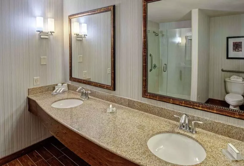スタンダードルーム, Hilton Garden Inn Minneapolis/eden Prairie