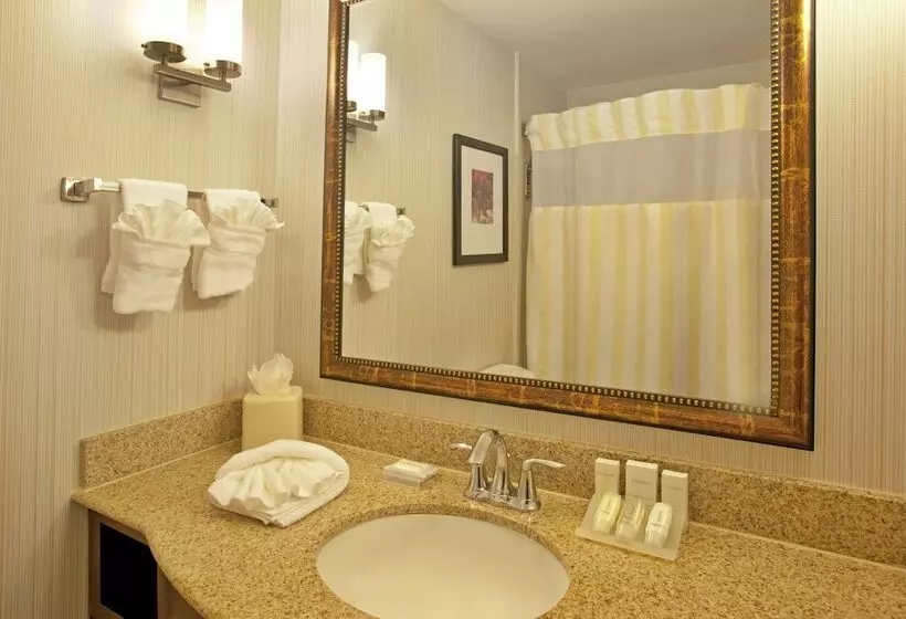 スタンダードルーム, Hilton Garden Inn Minneapolis/eden Prairie