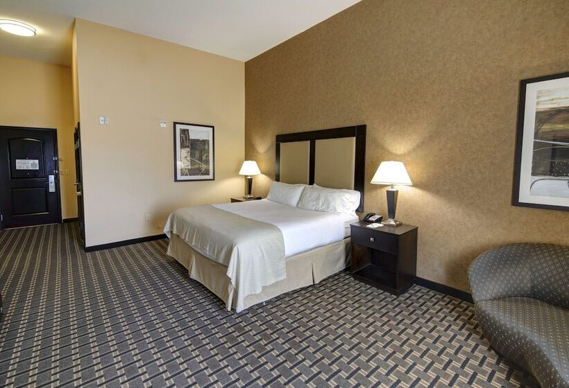 غرفة قياسية, Holiday Inn Arlington Northeast, An Ihg