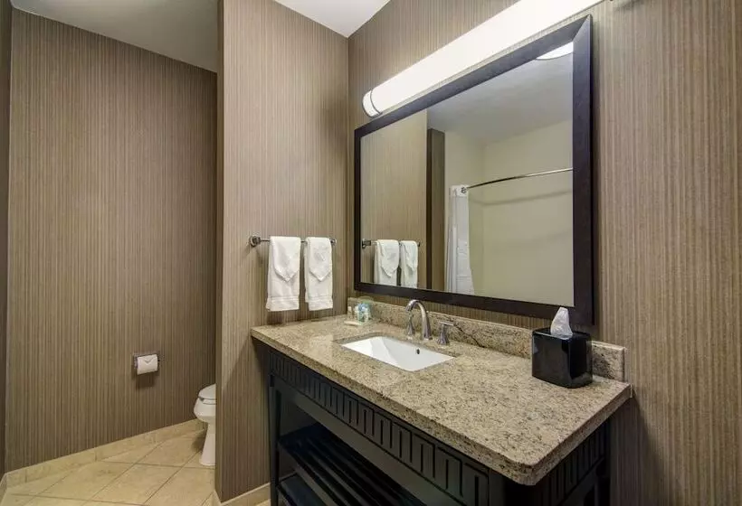 身障者適用スイートルーム, Holiday Inn Arlington Northeast, An Ihg