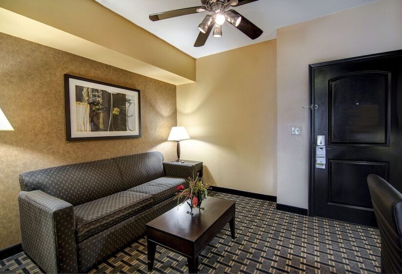 Suite Adaptada per a persones amb mobilitat reduïda, Holiday Inn Arlington Northeast, An Ihg