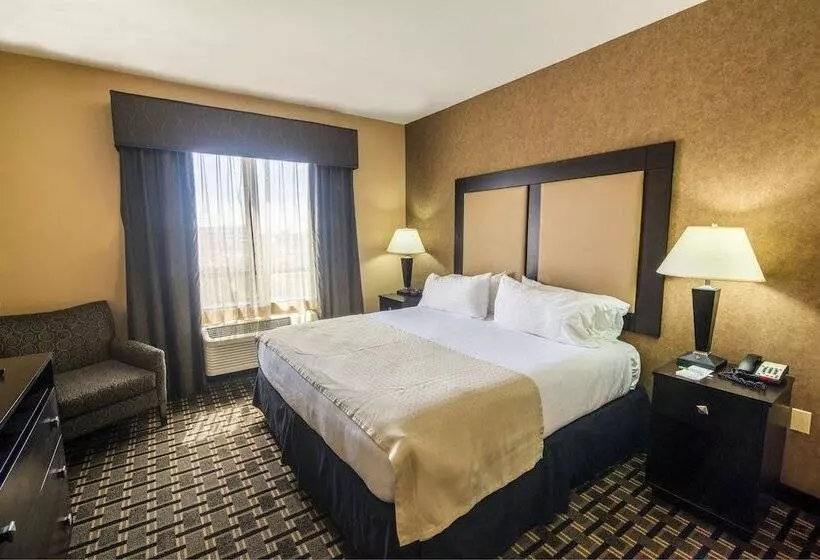 身障者適用スイートルーム, Holiday Inn Arlington Northeast, An Ihg