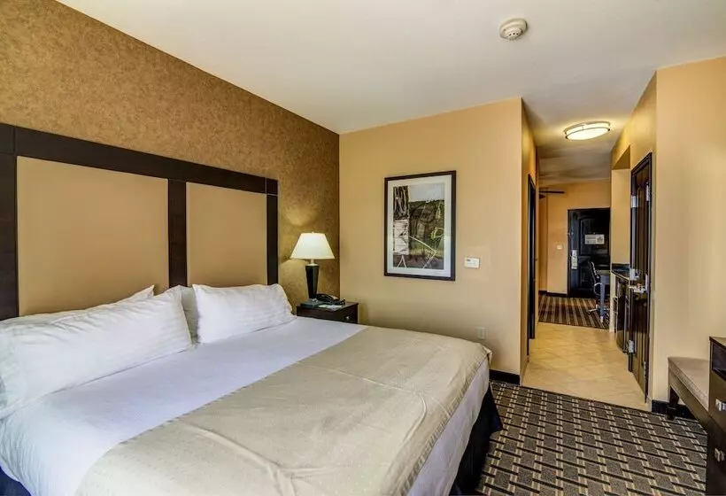身障者適用スイートルーム, Holiday Inn Arlington Northeast, An Ihg