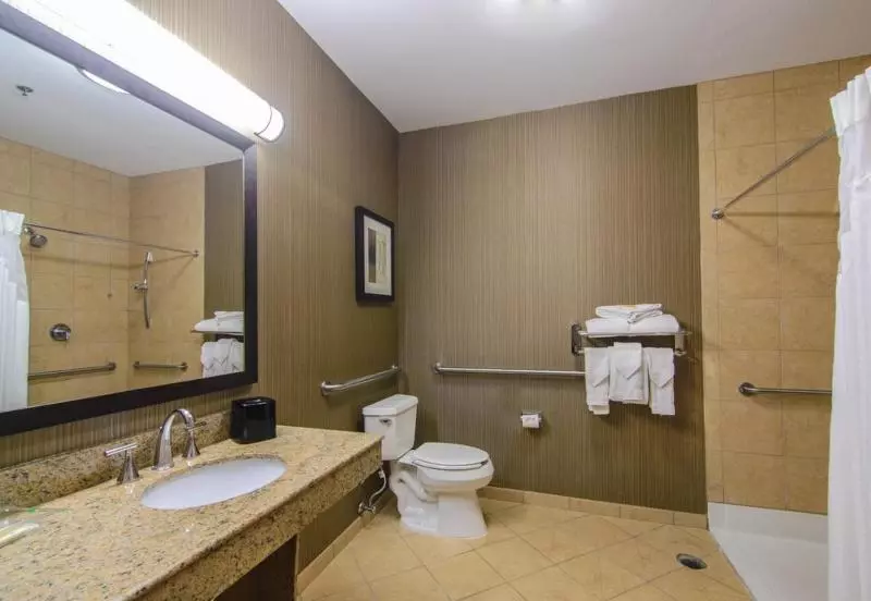 キングサイズベッドのスタンダードルーム, Holiday Inn Arlington Northeast, An Ihg