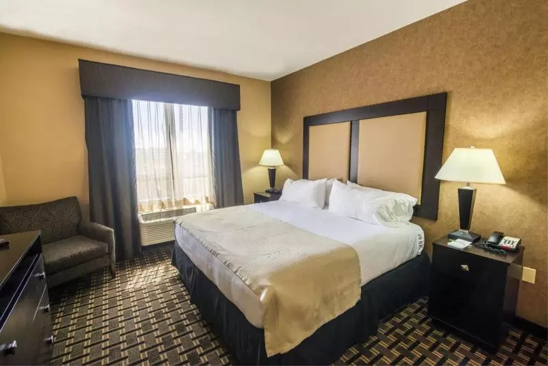 キングサイズベッドのスタンダードルーム, Holiday Inn Arlington Northeast, An Ihg