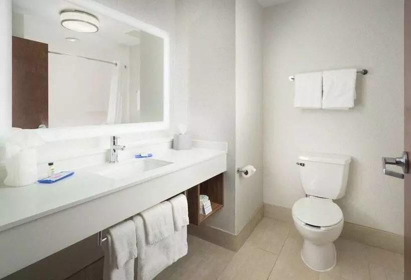 スタンダードルーム, Holiday Inn Express Hotel & Suites Chattanooga Downtown, An Ihg