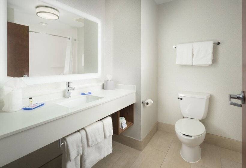 سوئیت برای معلولان, Holiday Inn Express Hotel & Suites Chattanooga Downtown, An Ihg