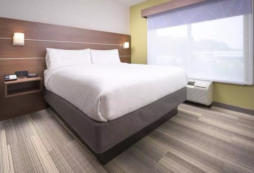 身障者適用スイートルーム, Holiday Inn Express Hotel & Suites Chattanooga Downtown, An Ihg