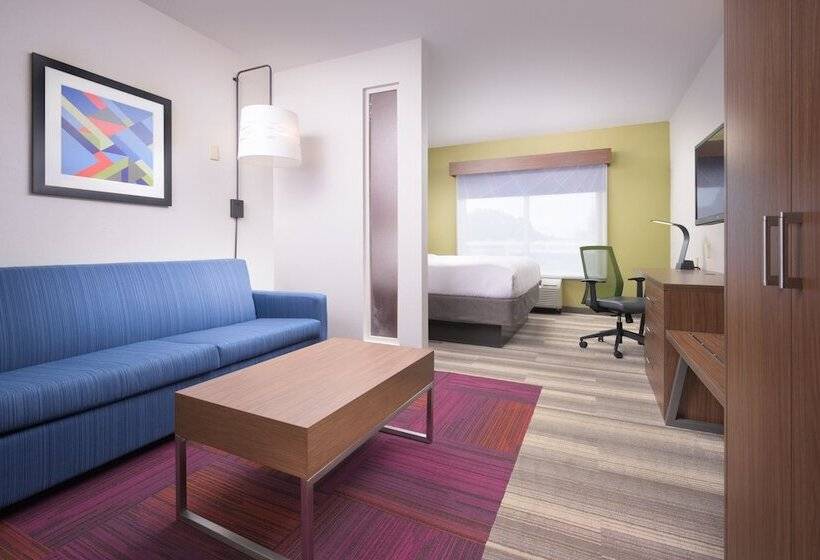 Suite Aangepast voor Gehandicapten, Holiday Inn Express Hotel & Suites Chattanooga Downtown, An Ihg