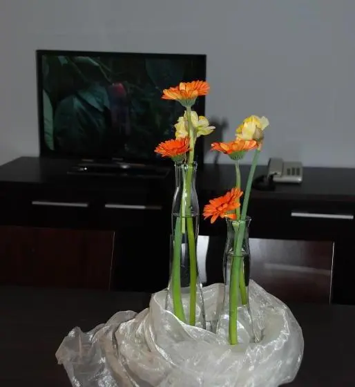 バルコニー付き１ベッドルームアパートメント, Aparthotel Pichler