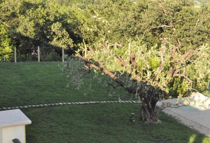 شقة غرفة واحدة, Agriturismo Monte Maggio