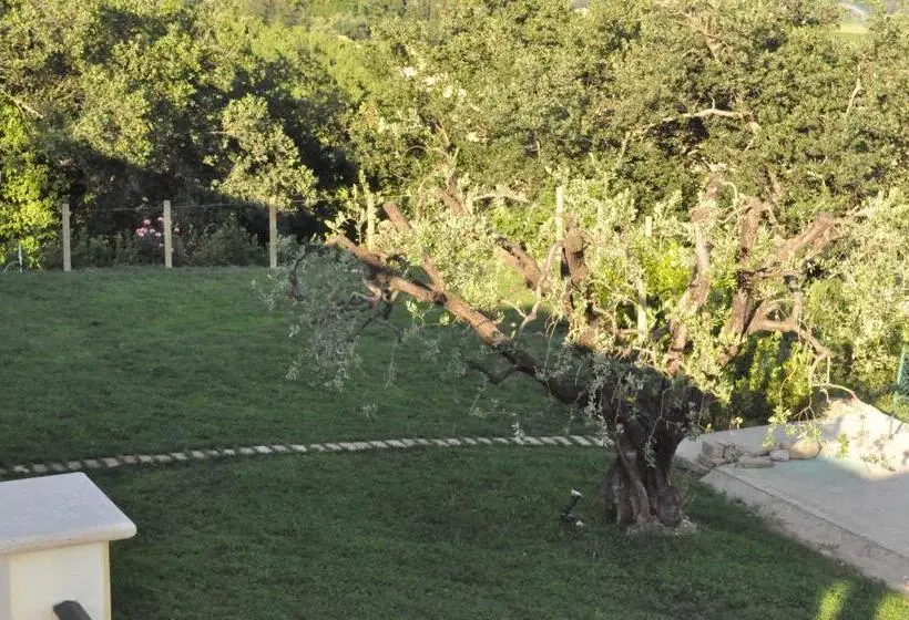 １ベッドルームアパートメント, Agriturismo Monte Maggio