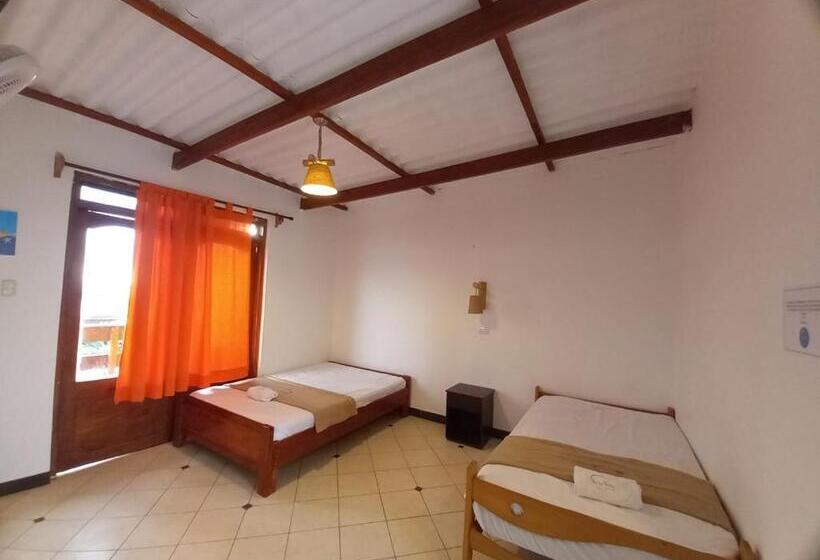 اتاق استاندارد, Luna Nueva