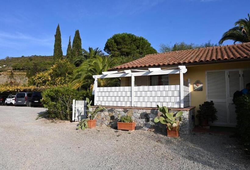 Студия Стандарт, Residence Il Mandorlo