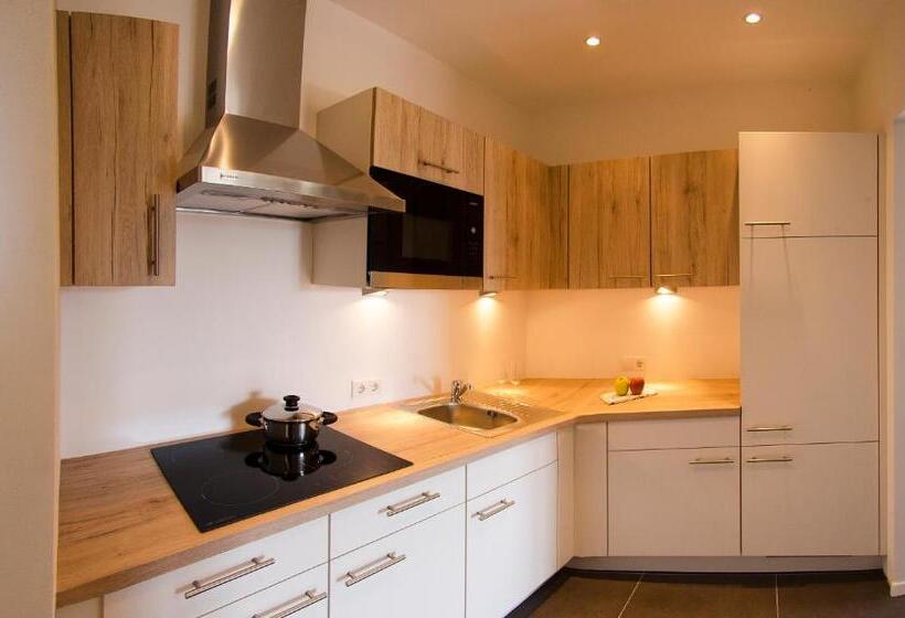 آپارتمان 1 خوابه با بالکن, Residence Reinhild