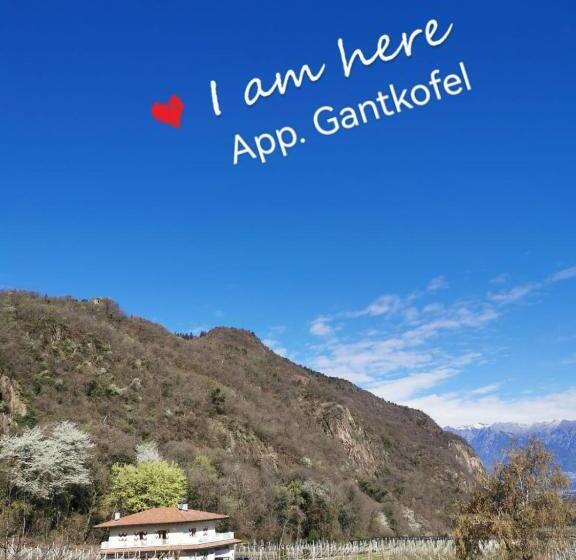 آپارتمان سوپریور 2 خوابه, Residence Reinhild