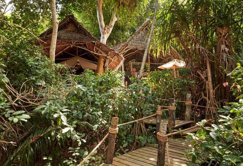 庭の見えるジュニアスイート, Fundu Lagoon