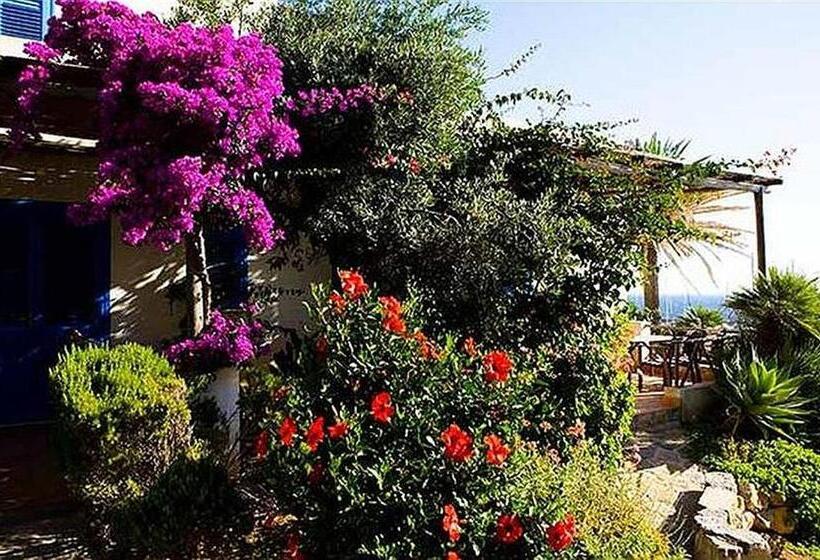 Студия Стандарт, Monolocale