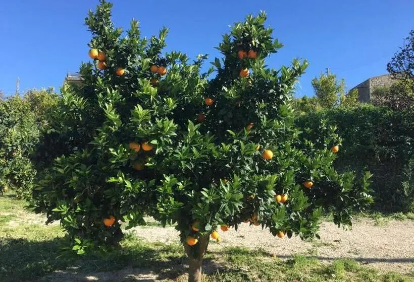 庭の見えるシングルルーム, Tenuta Lanza Il Mulino