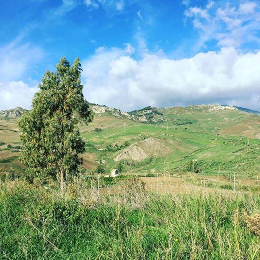 غرفة فردية  مطلة على الحديقة, Tenuta Lanza Il Mulino