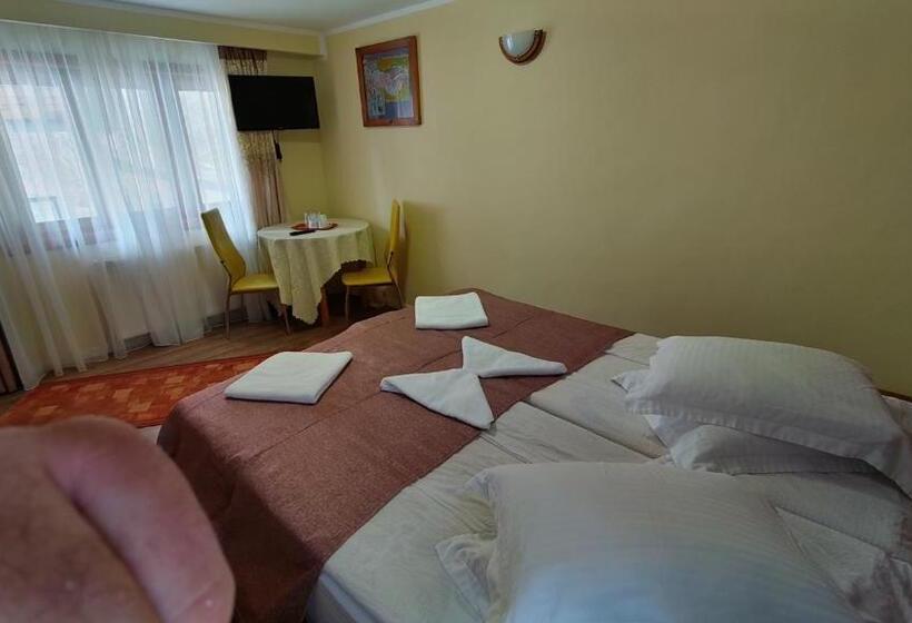 آپارتمان 1 خوابه با بالکن, Pension Tui