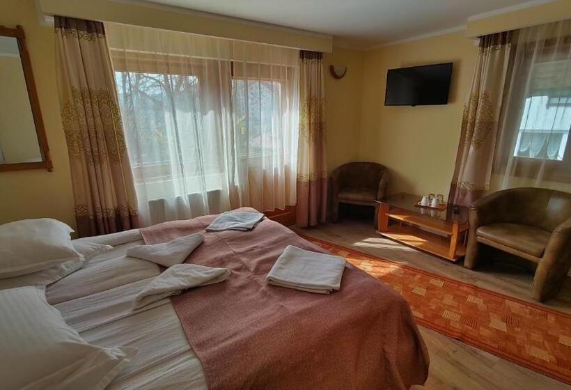 آپارتمان 1 خوابه با بالکن, Pension Tui