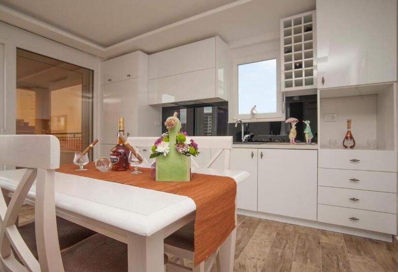 سوئیت پرزیدنت, Guest House Medin