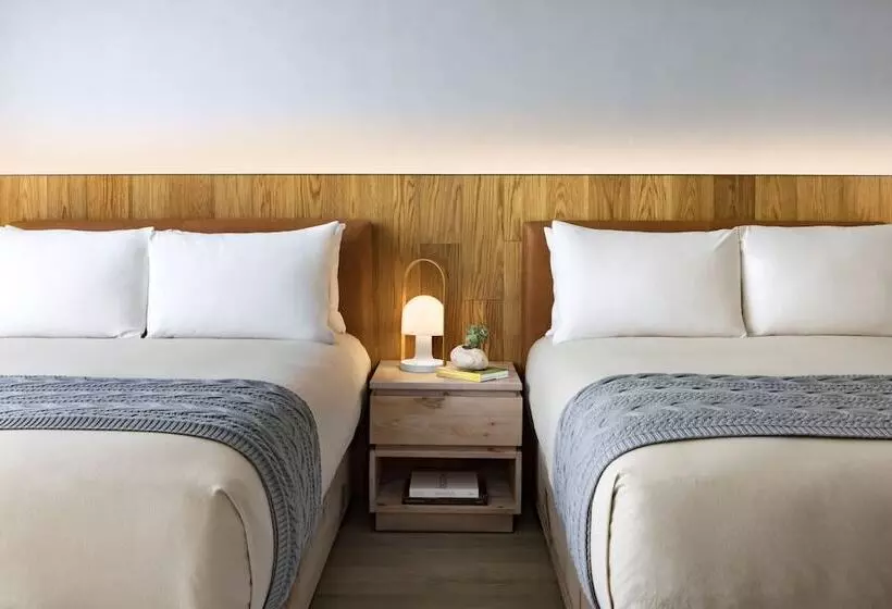 اتاق استاندارد با 2 تخت دوبل, 1 Hotel Toronto