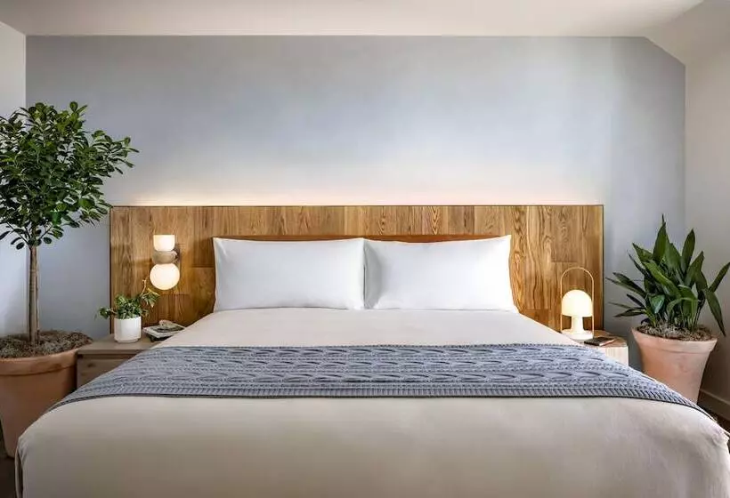 استودیوی استاندارد با تخت دوبل, 1 Hotel Toronto