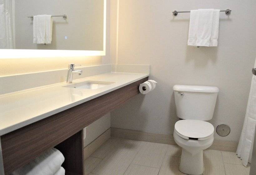 جناح لذوى الاحتياجات الخاصة, Holiday Inn Express & Suites Batesville, An Ihg