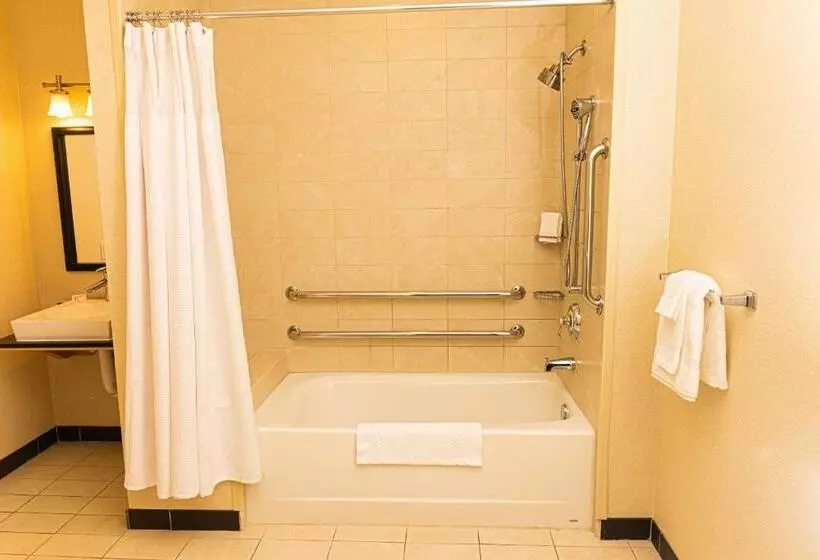 سوئیت با تخت بزرگ, Springhill Suites By Marriott Pueblo Downtown