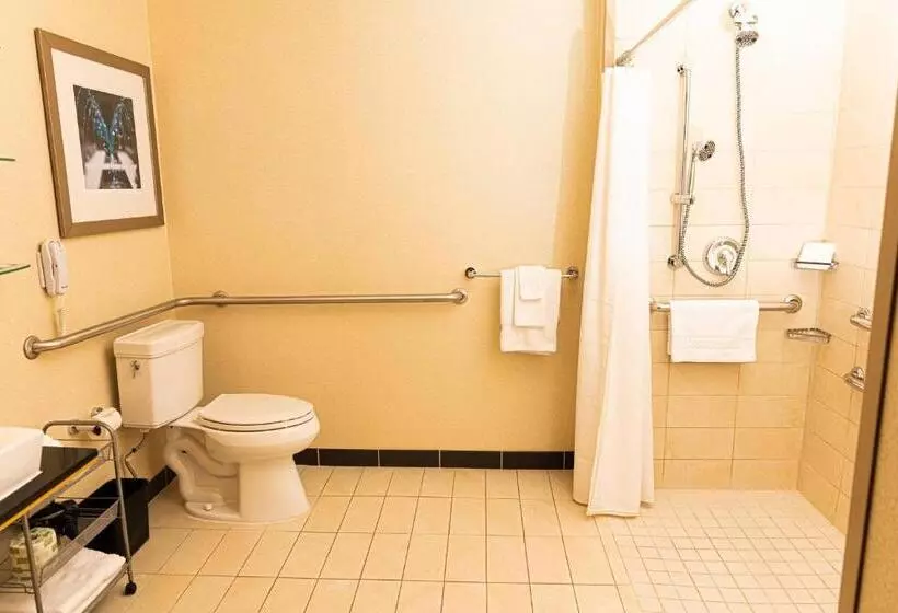 سوئیت با تخت بزرگ, Springhill Suites By Marriott Pueblo Downtown