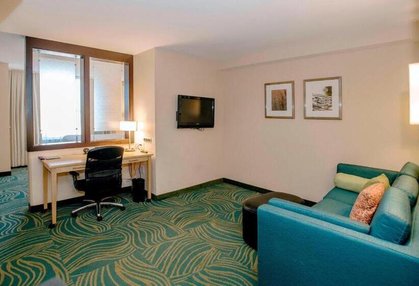 带大床的套房, Springhill Suites By Marriott Pueblo Downtown