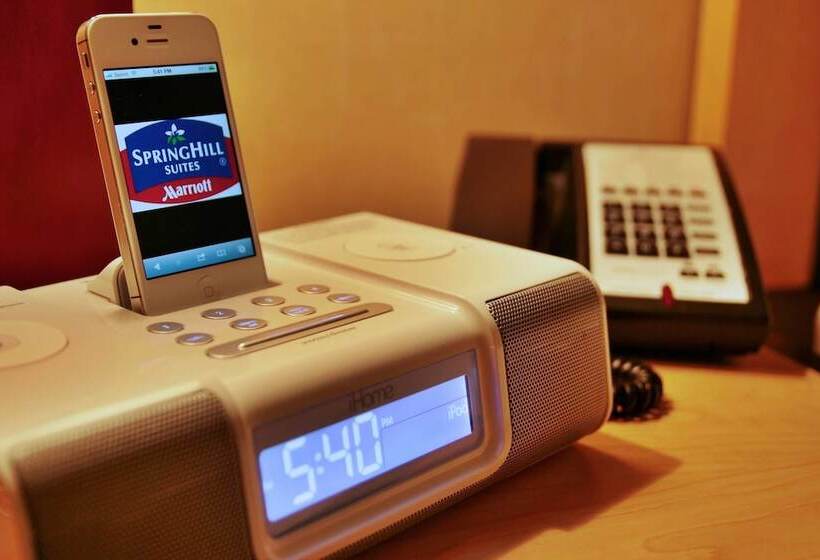 스위트, Springhill Suites By Marriott Pueblo Downtown