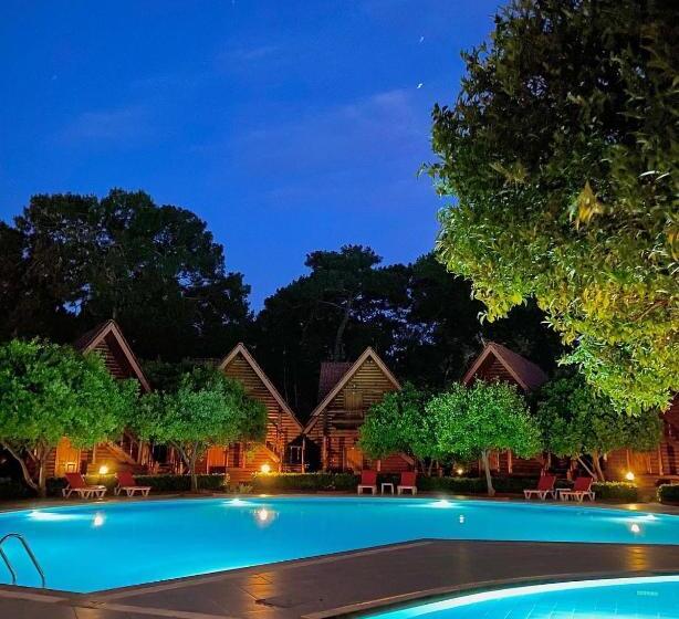 标准三人间, Woodline Hotel