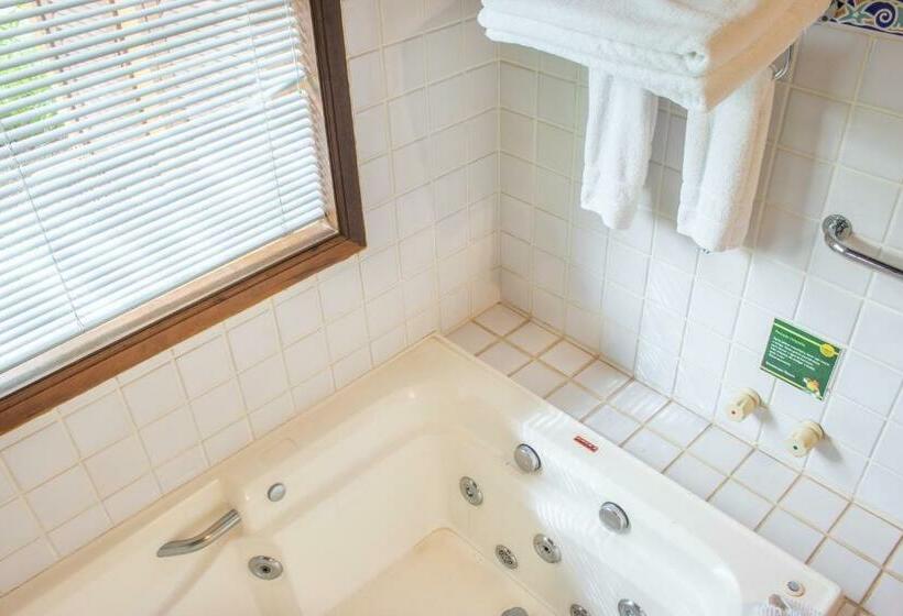 一居室别墅, Bomtempo Itaipava By Castelo Itaipava