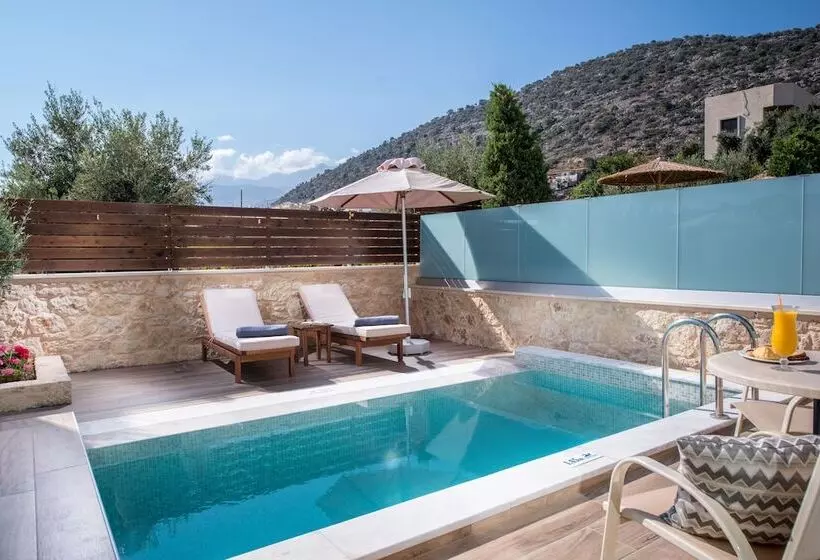 スーペリアールーム, Cactus Royal Spa & Resort Adults Only