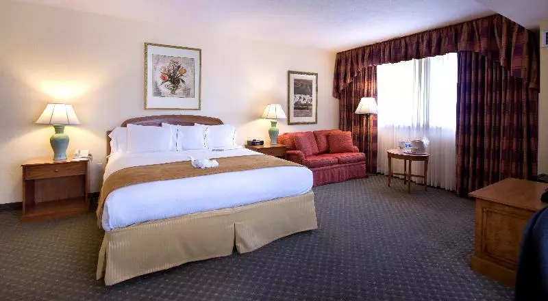 キングサイズベッドのスタンダードルーム, Holiday Inn Orlando International Dr Icon, An Ihg