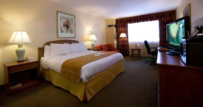 Suite King Bed
