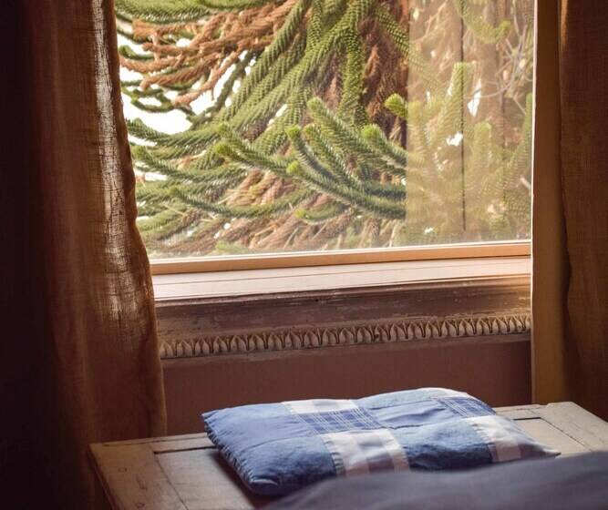 小型套房, Los Juncos Patagonian Lake House