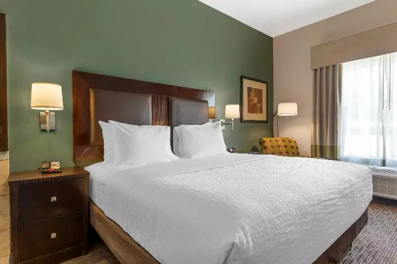 Standard-huone King-vuode, Best Western Plus Duncanville/dallas
