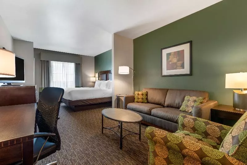 Sviitti King-vuode, Best Western Plus Duncanville/dallas