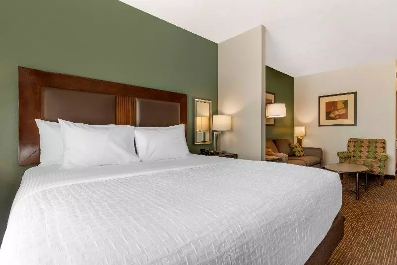 Standard-invahuone, Best Western Plus Duncanville/dallas