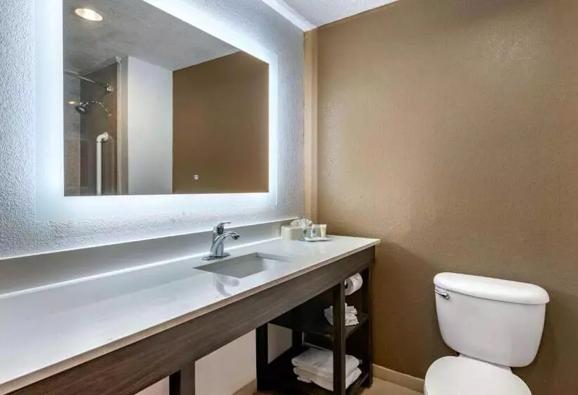 キングサイズベッドのスイートルーム, Comfort Suites Fort Pierce I95