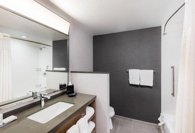 Habitación Estándar Cama King, Courtyard By Marriott Anaheim Resort/convention Center
