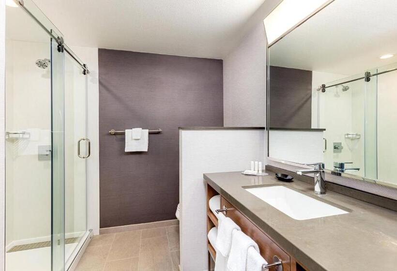 适合残疾人使用的标准间, Courtyard By Marriott Anaheim Resort/convention Center