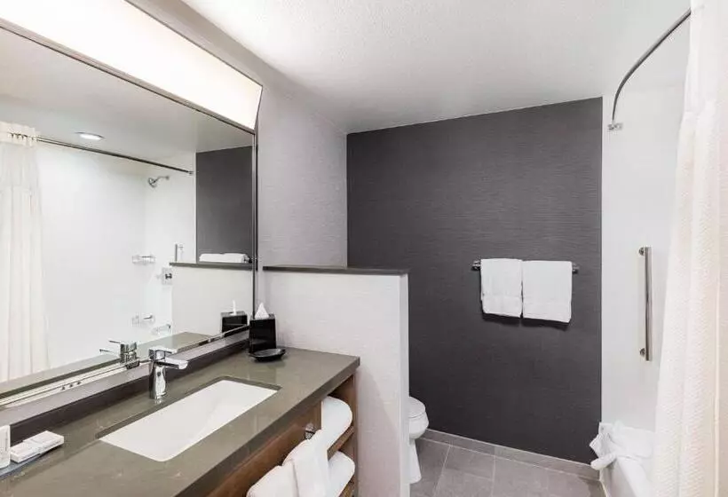身障者適用スタンダードルーム, Courtyard By Marriott Anaheim Resort/convention Center
