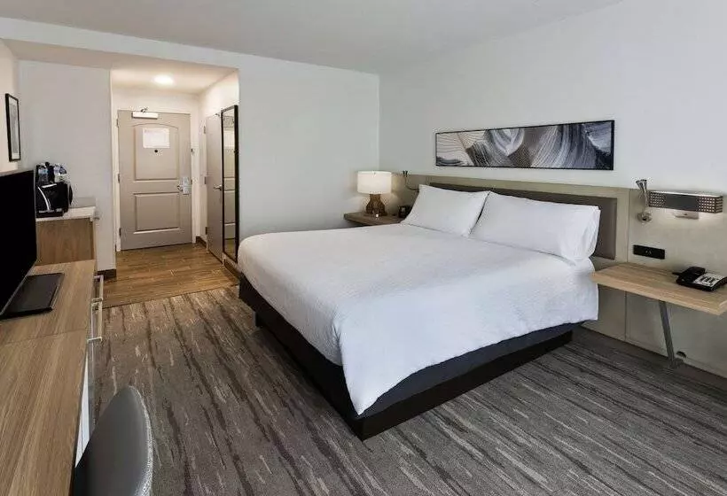 スタンダードルーム, Hilton Garden Inn Birmingham Se/liberty Park