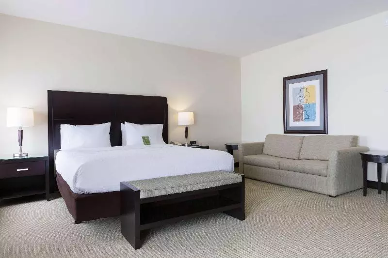 سوئیت با تخت بزرگ, Hilton Garden Inn Guanacaste Airport