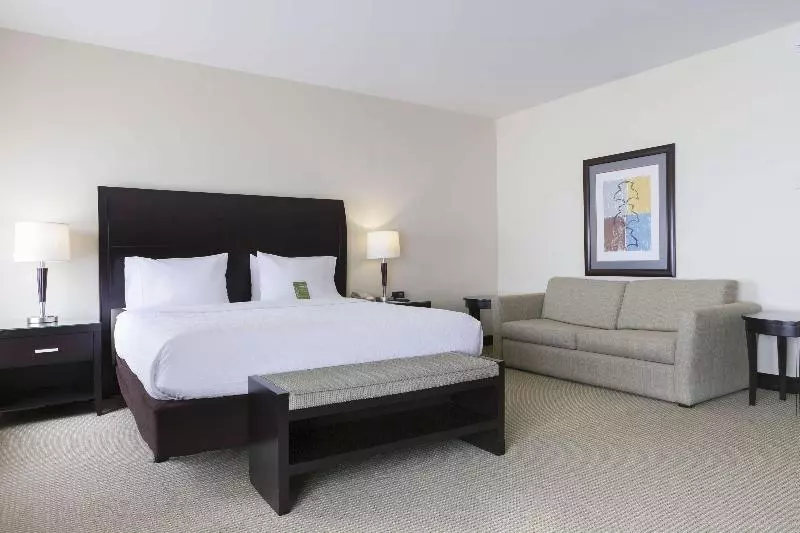 سوئیت با تخت بزرگ, Hilton Garden Inn Guanacaste Airport